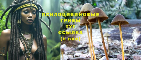 бошки Магас