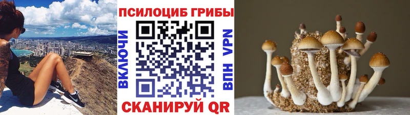 Галлюциногенные грибы MAGIC MUSHROOMS  Хадыженск 